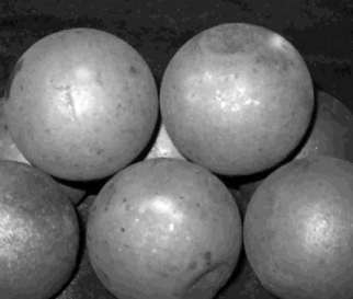 �Vɽ��I������_�x����t��